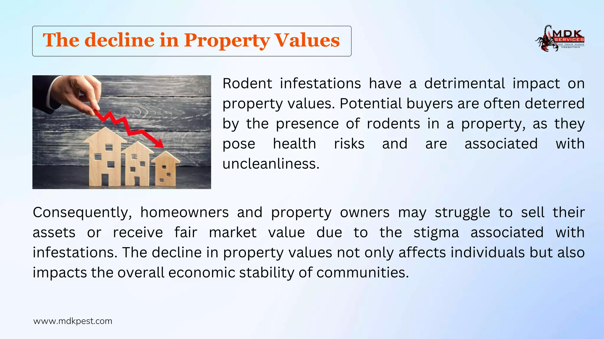Ekonomikong Epekto ng Pest Infestation sa Ari-arian at Negosyo