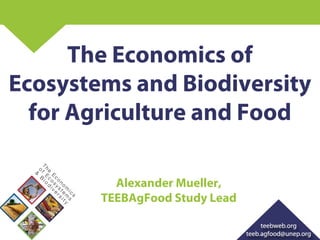 The Economics of
Ecosystems and Biodiversity
for Agriculture and Food
Alexander Mueller,
TEEBAgFood Study Lead
 