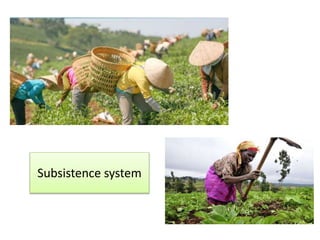 Subsistence system
 