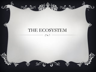 THE ECOSYSTEM
 