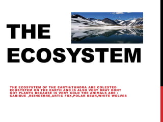 THE
ECOSYSTEM
THE ECOSYSTEM OF THE EARTH:TUNDRA ARE COLESTED
ECOSYSTEM ON THE EARTH AND IS ALSO VERY DRAY DONT
GOT PLANTS BECAUSE IS VERY COLD THE ANIMALS ARE :
CARIBUE ,REINDERRE,ARTIC FOX,POLAR BEAR,WHITE WOLVES
 