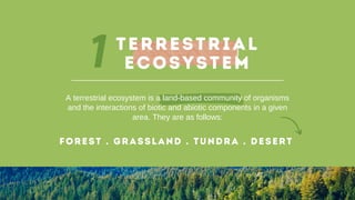 terrestrial ecosystem - definition, types, examples -... THE ECOSYSTEM and its function and types | PDF