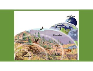 Comprehensive Overview of Ecosystems: Types, Structure, and Functions ...