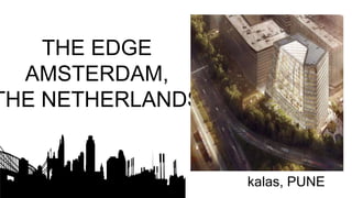 kalas, PUNE
THE EDGE
AMSTERDAM,
THE NETHERLANDS
 