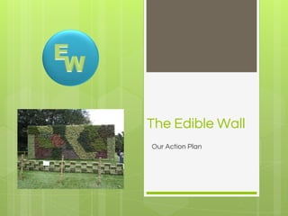 The Edible Wall
Our Action Plan
 