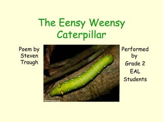 The Eensy Weensy
Caterpillar
Poem by
Steven
Traugh
Performed
by
Grade 2
EAL
Students
 