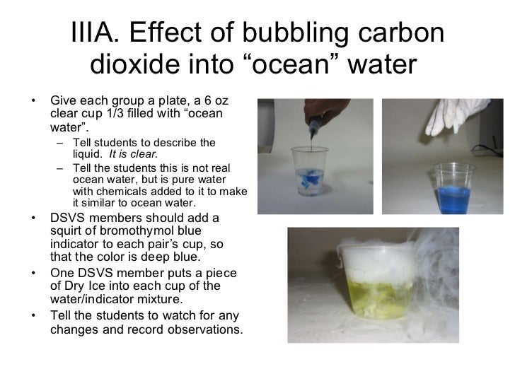 The effect of carbon dioxide on the environment