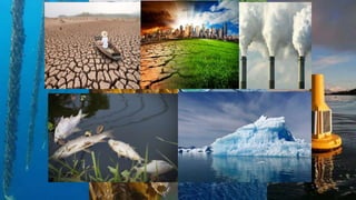 Implications of climatic changes on water
systems (Ice Cover)
❑ The rise in temperature led to the melting of part of the
...