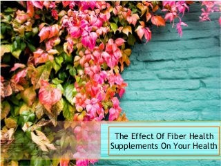 The Effect Of Fiber Health 
Supplements On Your Health 
 