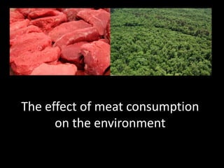The effect of meat consumption
      on the environment
 
