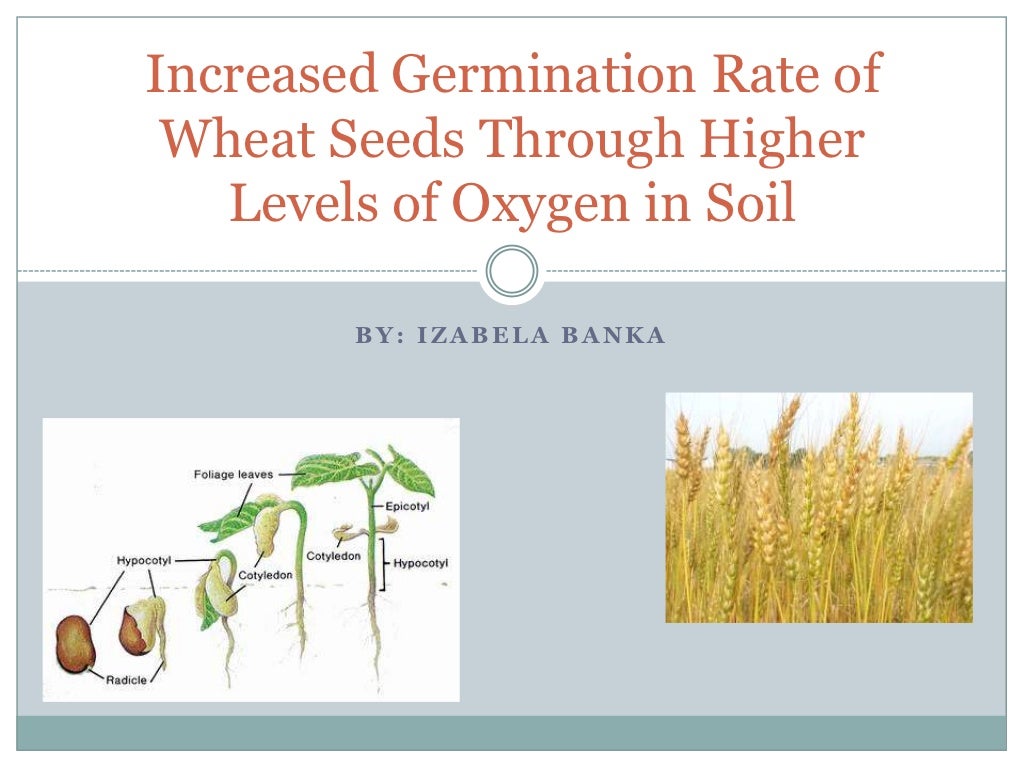 The effect of oxygen in soil on plant