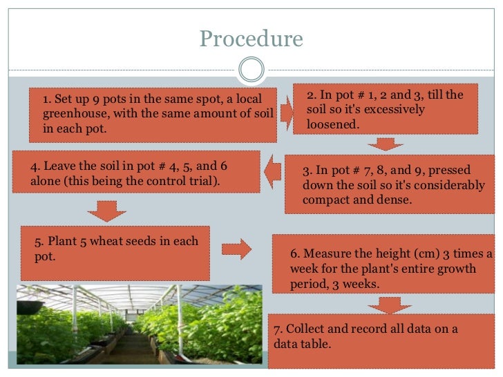 The effect of oxygen in soil on plant