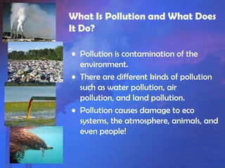 The effect of pollution on animals