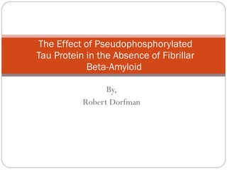 The Effect of Pseudophosphorylated Tau Protein in the Absence of Fibrillar Beta-Amyloid  By, Robert Dorfman 