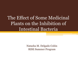 The Effect of Some Medicinal Plants on the Inhibition of Intestinal Bacteria  Natasha M. Delgado Colón RISE Summer Program 