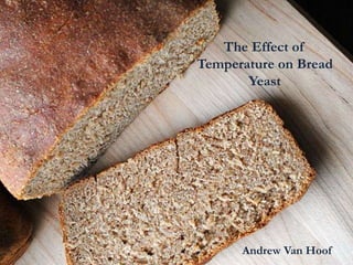 The Effect of
Temperature on Bread
       Yeast




      Andrew Van Hoof
 