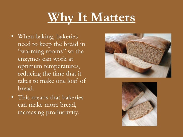 The Effect of Temperature on Bread Yeast