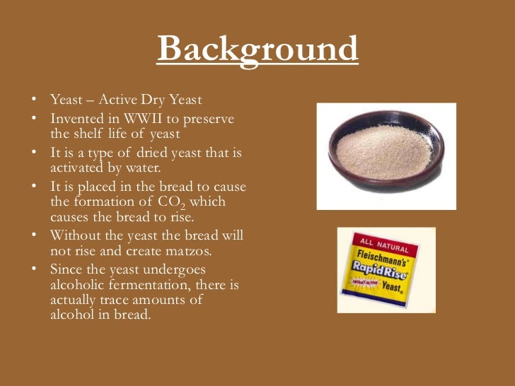 the effect of temperature on bread yeast how yeast works in bread