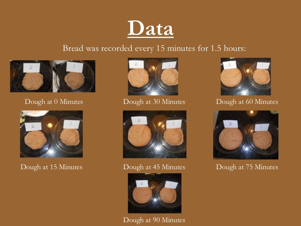 The Effect of Temperature on Bread Yeast