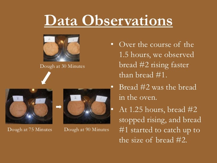 The Effect of Temperature on Bread Yeast