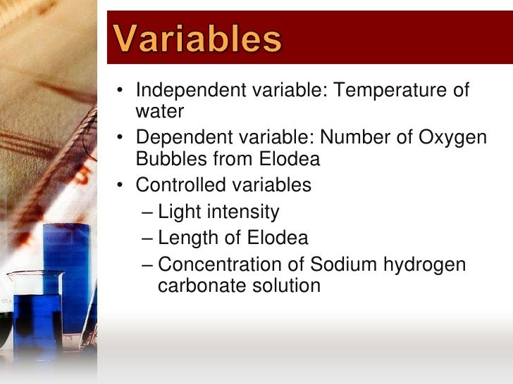 The effect of temperature on photosynthesis