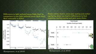 Earlier dawn chorus, extra pair mating and earlier
egg laying dates can lead to deficiencies in food
resources during rearing and poor mate choice
Differences in light polluted areas (light blue) in
comparison to non-light polluted areas (dark blue).
Most noticeable in Robin
(Kempenaers, et al, 2010) (Kempenaers, et al, 2010)
 