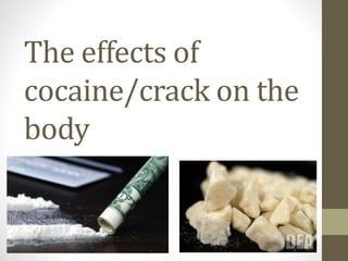 The effects of cocaine | PPT