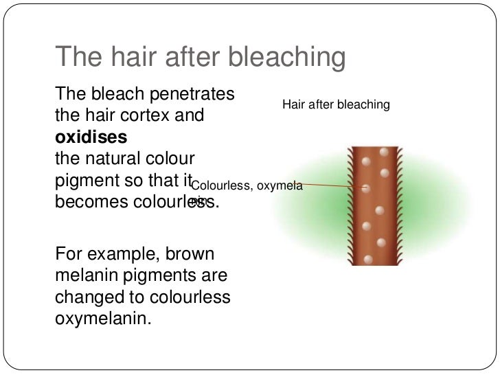 the effects of different colouring products on the how hair bleach works