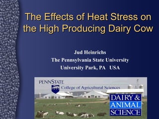 The Effects of Heat Stress on
the High Producing Dairy Cow

               Jud Heinrichs
      The Pennsylvania State University
         University Park, PA USA
 