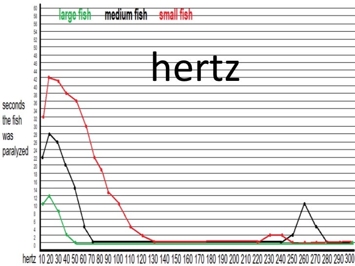 The effects of low and high frequencies on