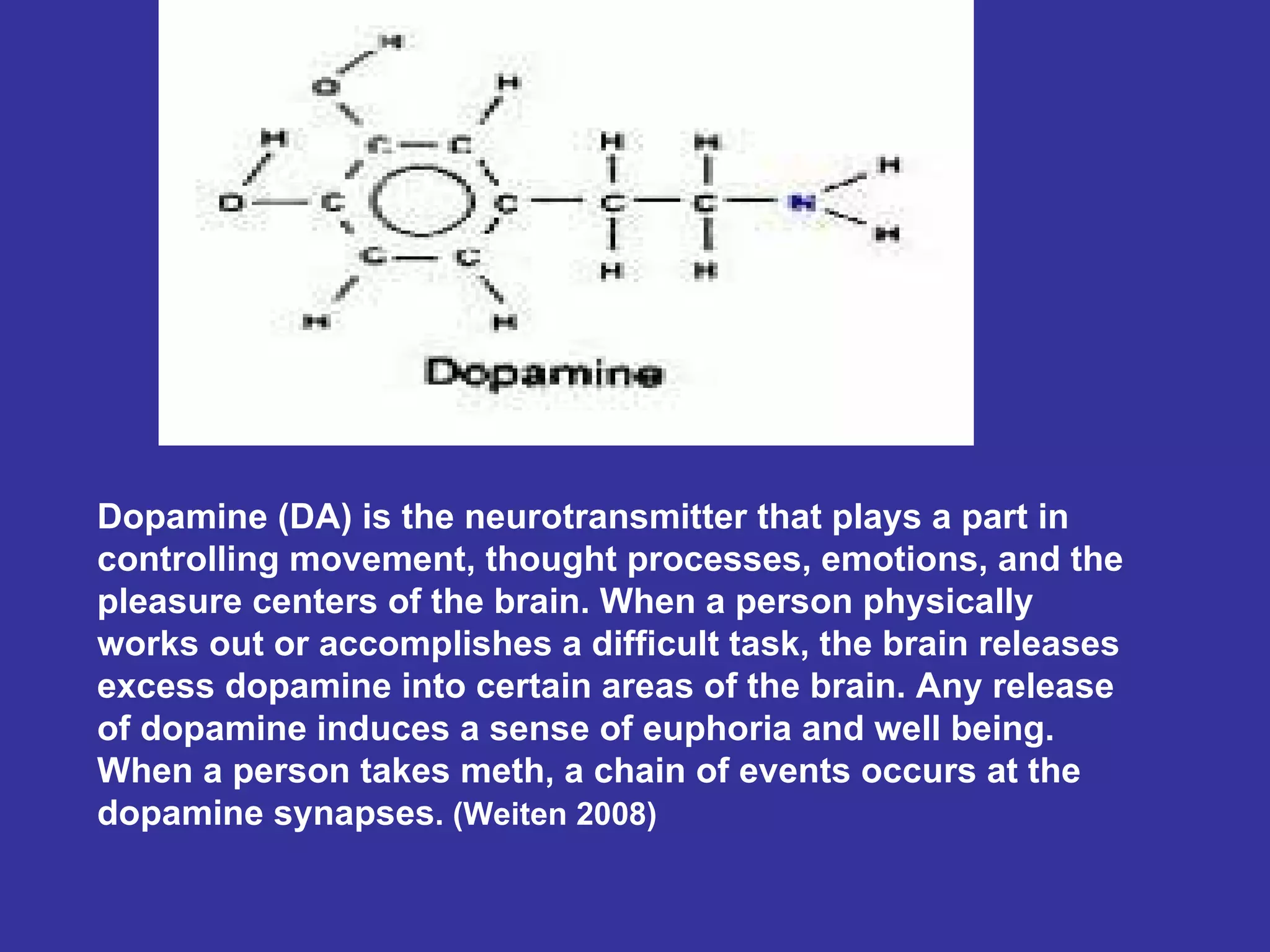 The Effects Of Methamphetamine On The Brain Photo Inspiration