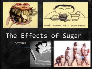 The Effects of Sugar
Amy Bae
 