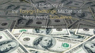 The Efficiency of
the Foreign Exchange Market and
Measures of Turbulence
黃晨銘 謝秉翰
 