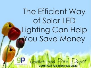 The Efficient Way
of Solar LED
Lighting Can Help
You Save Money
 
