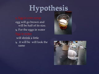  Egg in corn syrup
egg will go brown and
  will be half of its size.
 For the eggs in water

Egg in water
 will shrink a little
 it will be will look the
  same
 