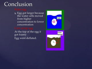 Conclusion
   Water egg
    Egg got larger because
     the water cells moved
     from higher
     concentration to lower
     concentration
   Corn syrup egg
   At the top of the egg it
   got foamy
   Egg went deflated.
 