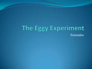 The Eggy Experiment Emmalee 