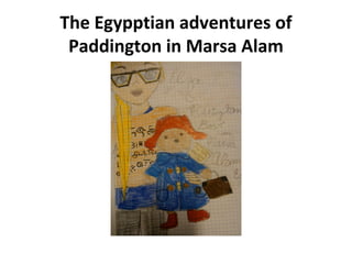 The Egypptian adventures of
 Paddington in Marsa Alam
 