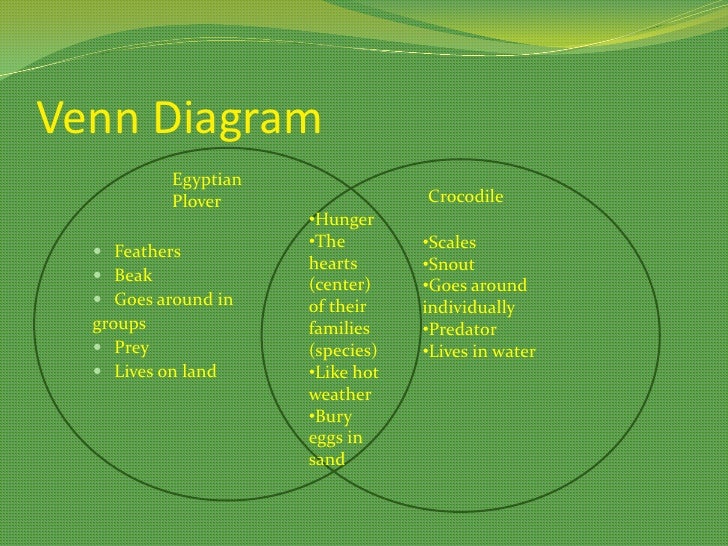 the egyptian plover and the crocodile 5 way venn diagram