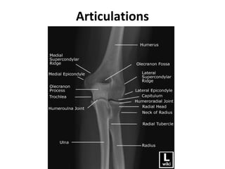 Radiology of the Elbow Joint. Dr. Sumit Sharma | PPT