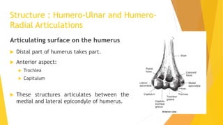 The elbow complex | PPTX
