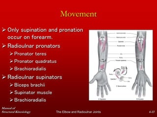 the elbow joint.ppt