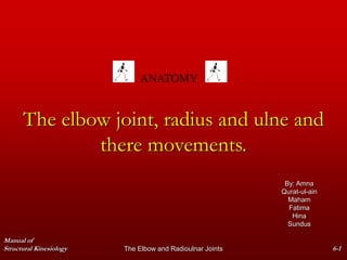 Manual of
Structural Kinesiology The Elbow and Radioulnar Joints 6-1
The elbow joint, radius and ulne and
there movements.
By: Amna
Qurat-ul-ain
Maham
Fatima
Hina
Sundus
ANATOMY
 