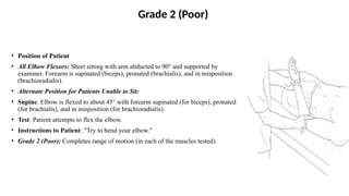 Misposition The Elbow Joint 1_a93e492f7cfcdba2d5a0fde7c8fecec5.pptx