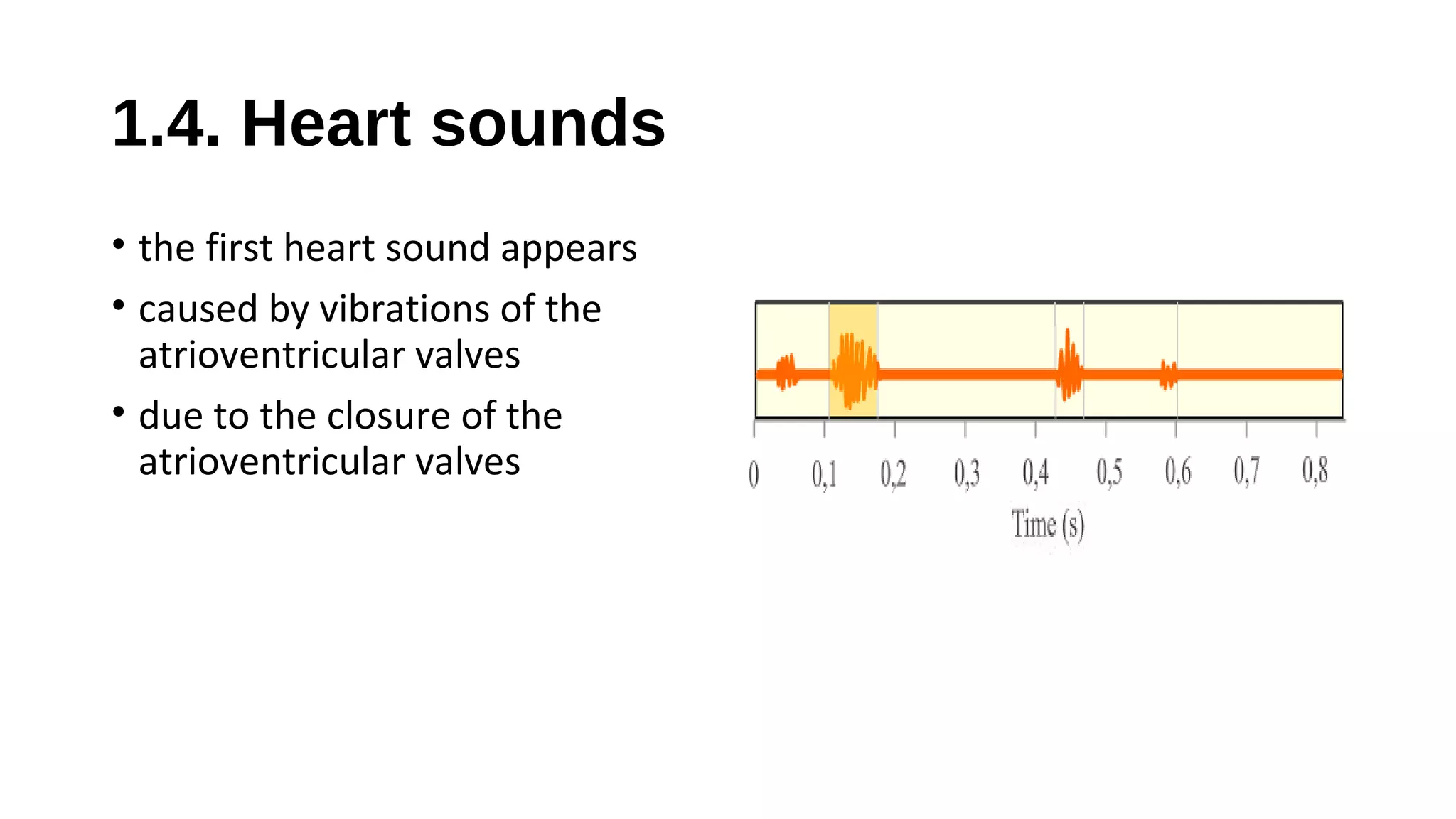 1.4. Heart sounds
• the first heart sound appears
• caused by vibrations of the
atrioventricular valves
• due to the closure of the
atrioventricular valves
 
