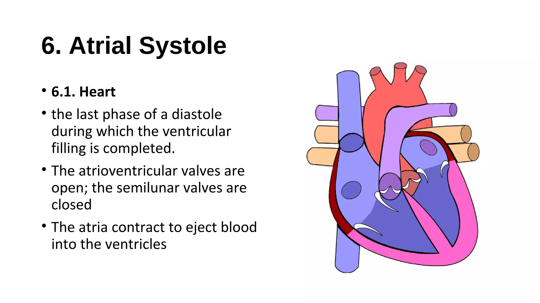 6. Atrial Systole
• 6.1. Heart
• the last phase of a diastole
during which the ventricular
filling is completed.
• The atrioventricular valves are
open; the semilunar valves are
closed
• The atria contract to eject blood
into the ventricles
 