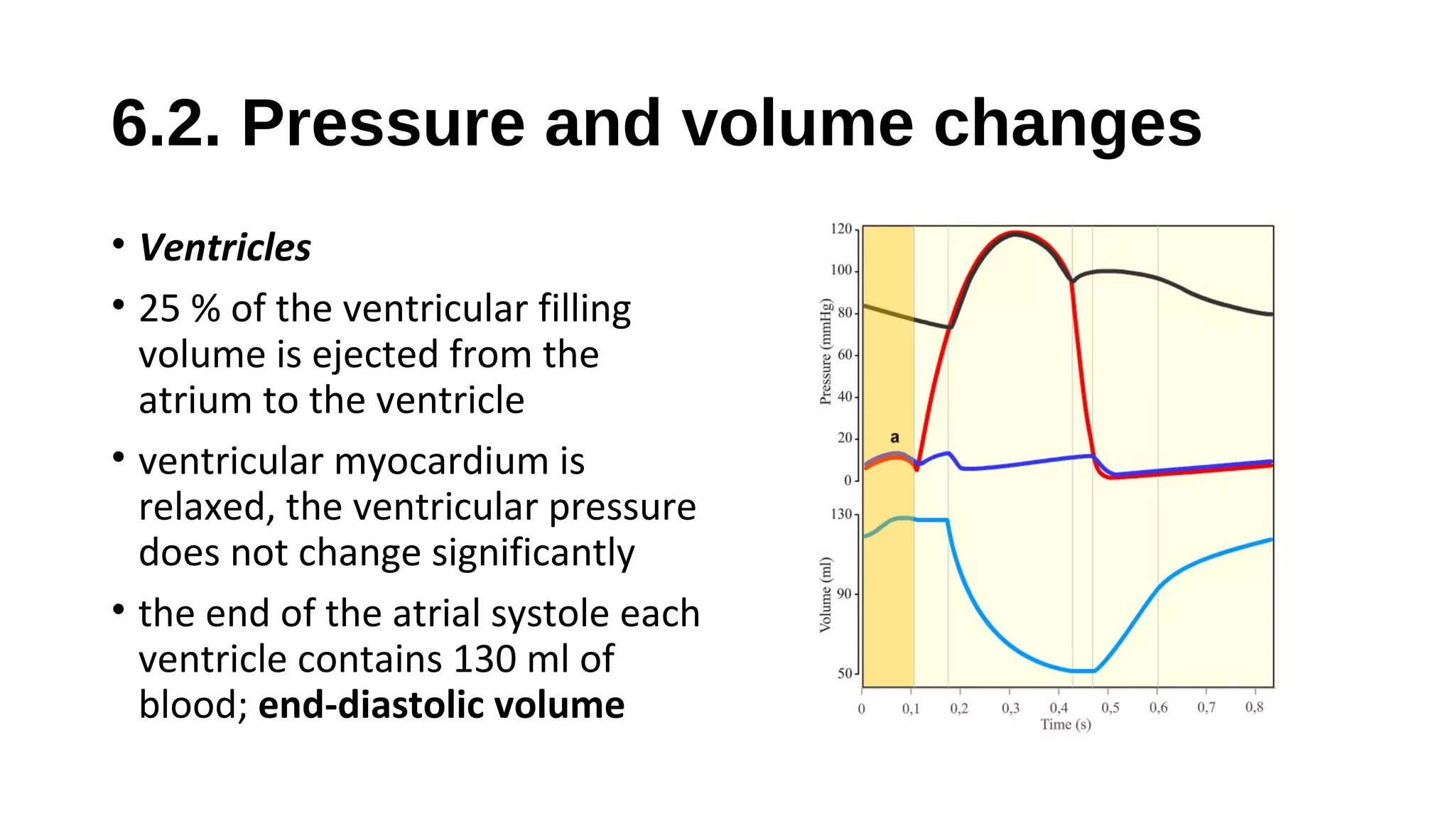 6.2. Pressure and volume changes
• Ventricles
• 25 % of the ventricular filling
volume is ejected from the
atrium to the ventricle
• ventricular myocardium is
relaxed, the ventricular pressure
does not change significantly
• the end of the atrial systole each
ventricle contains 130 ml of
blood; end-diastolic volume
 