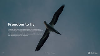 45 03. What we offer you
Together with your team, we give you the freedom and
responsibility to solve problems the way you believe is best.
See us as a company with an entrepreneurial mindset but
with the wingspan of the big birds.
Freedom to fly
 