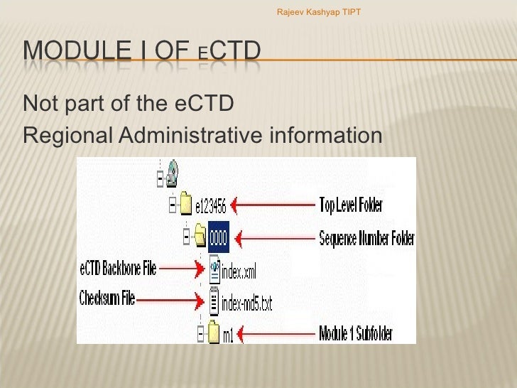 The Electronic Regulatory Submission