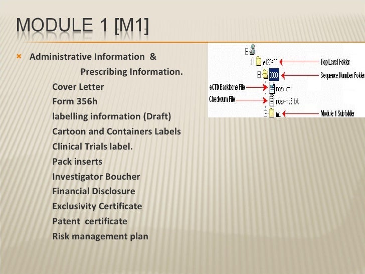 The Electronic Regulatory Submission